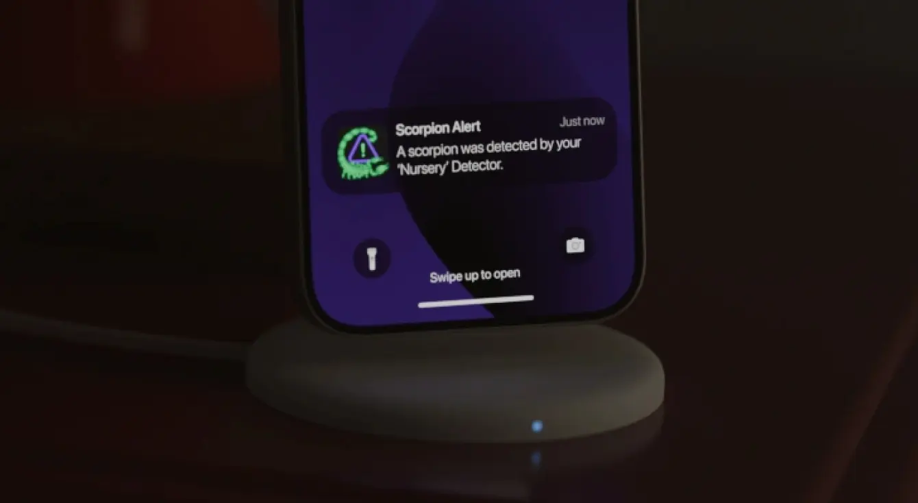 What Happens After You Get a Scorpion Alert?