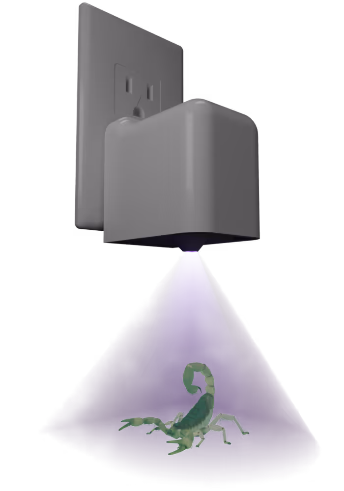 Un alacrán mostrando el efecto de fluorescencia bajo luz UV.
