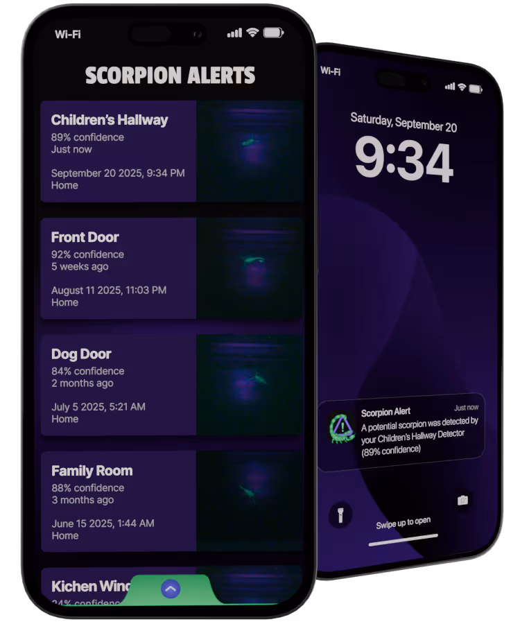 Dos teléfonos mostrando la app de alertas de alacranes; la primera pantalla muestra el historial con ubicaciones y niveles de confianza, la segunda una notificación de pantalla bloqueada de un alacrán detectado en el Pasillo de los Niños con 89% de confianza.